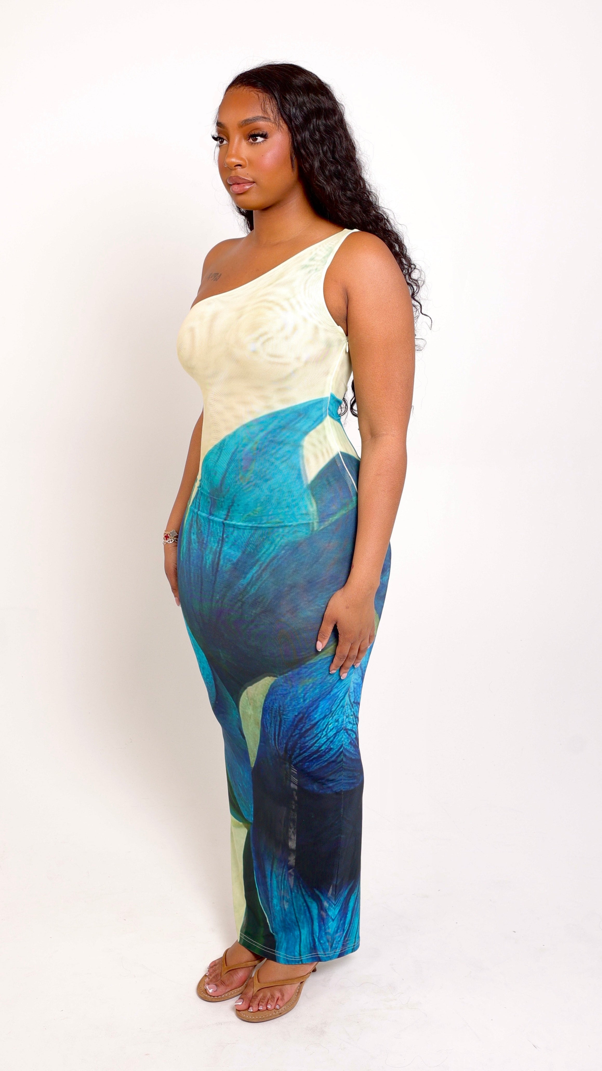 Anaya One Shoulder Dress
