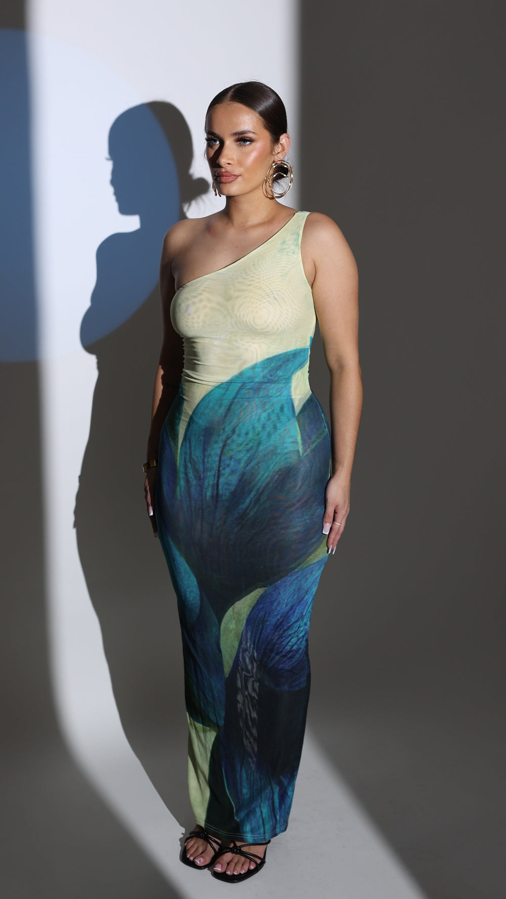 Anaya One Shoulder Dress