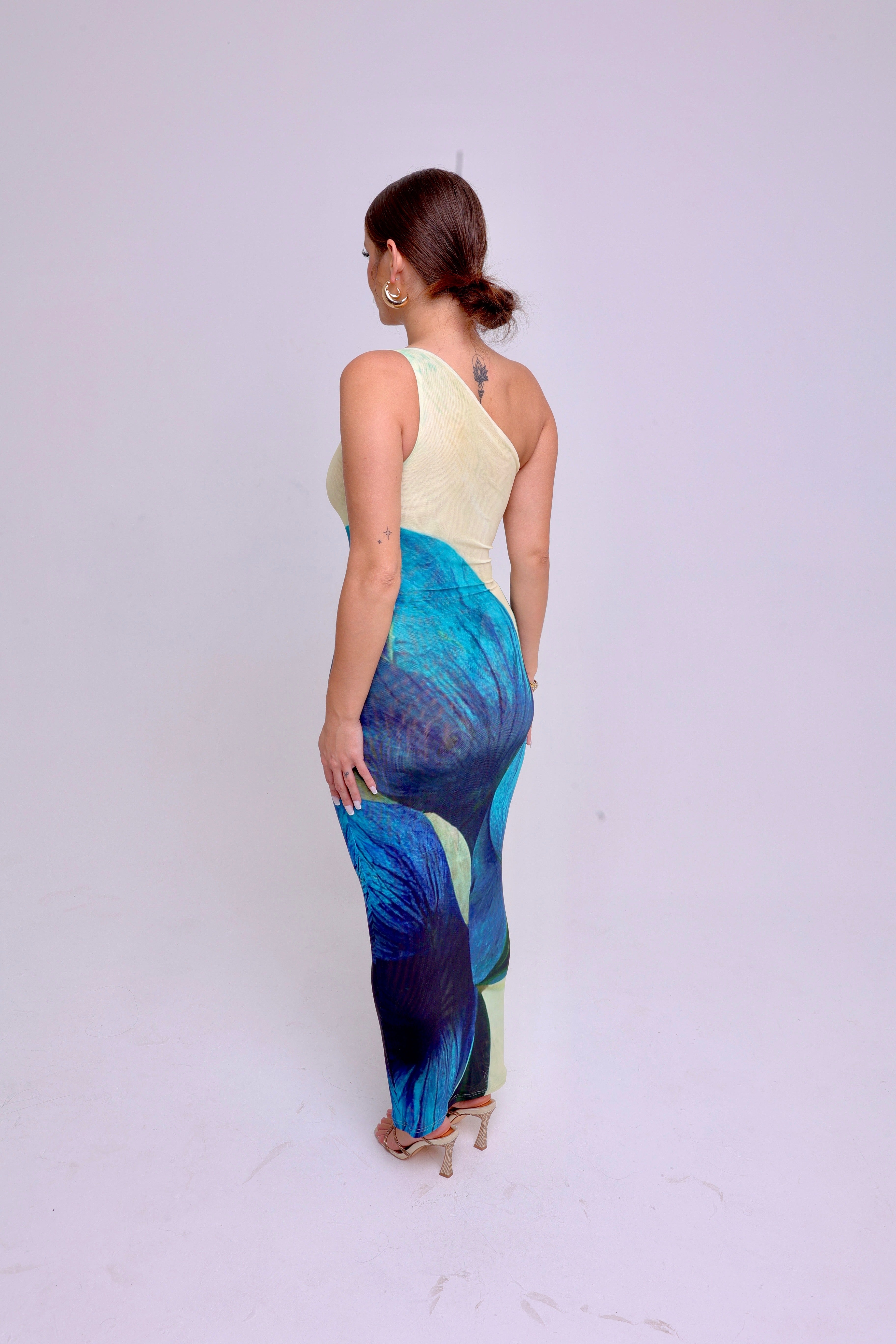Anaya One Shoulder Dress